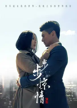 步步惊情（DVD版） 海报