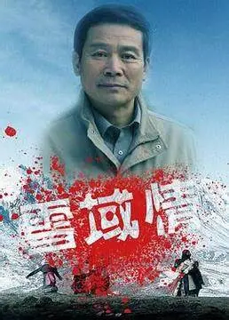 《雪域情》：冰封高原上的纯爱传奇，一段关于信仰与救赎的动人史诗